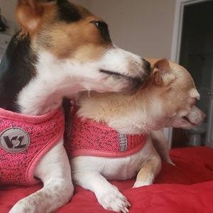 Meet your Posher, Christine